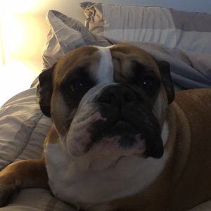 Meet your Posher, Mary beth